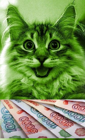 greeen cat